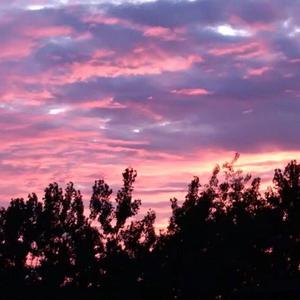 91福利视频导航
